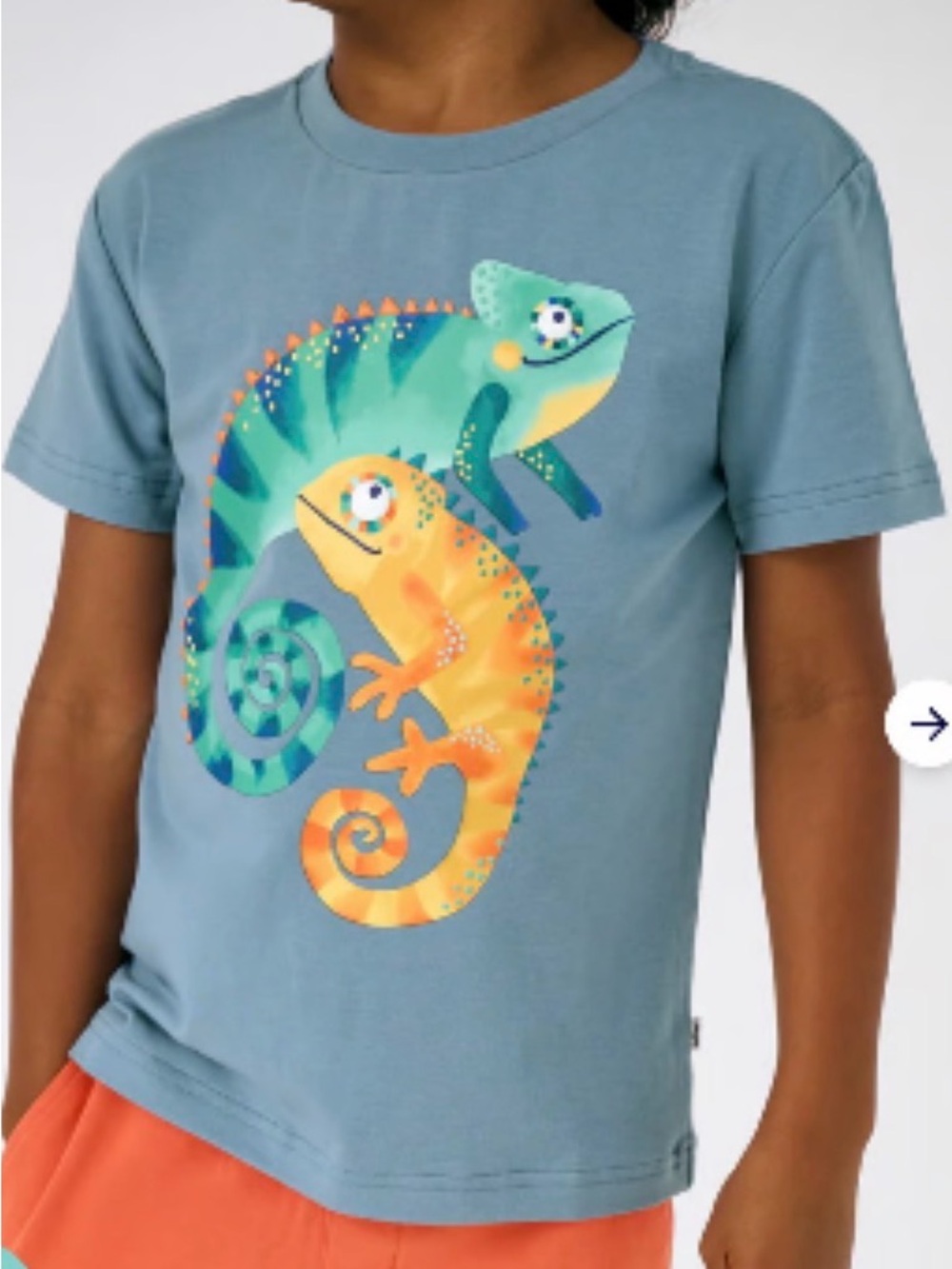 Play by Little Sleepies Kids Relaxed Chameleon Bamboo Tee Size 8 Preppy Summer